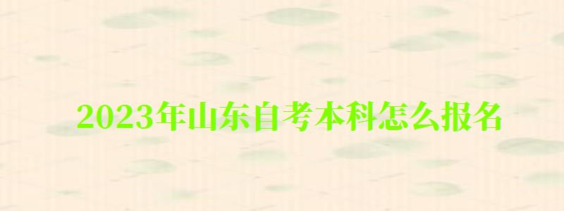 2023年山東自考本科怎么報名 2023年山東自考本科怎么報名
