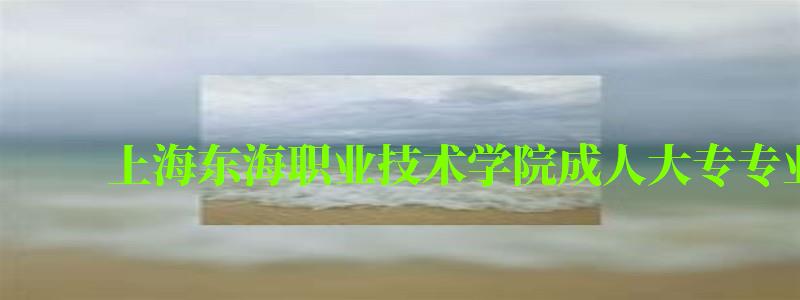 上海東海職業技術學院成人大專專業有哪些 上海東海職業技術學院成人大專專業有哪些 ,上海東海職業技術學院成人大專專業有哪些專業(圖1)