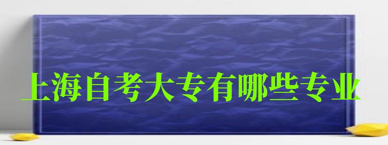 上海自考大專有哪些專業 上海自考大專有哪些專業 ,上海自考大專有哪些專業(圖1)