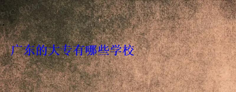 廣東的大專有哪些學校 廣東的大專有哪些學校