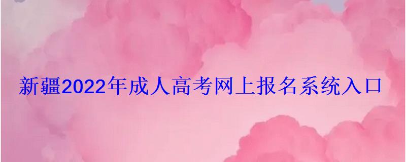 新疆2022年成人高考網上報名系統入口
