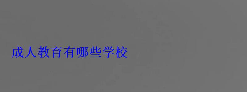 成人教育有哪些學(xué)校 成人教育有哪些學(xué)校
