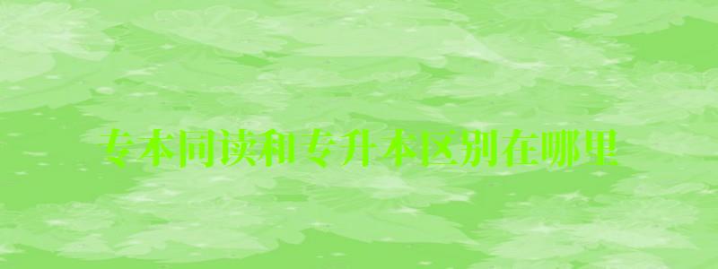 專本同讀和專升本區(qū)別在哪里 專本同讀和專升本區(qū)別在哪里 好處有什么(圖1)