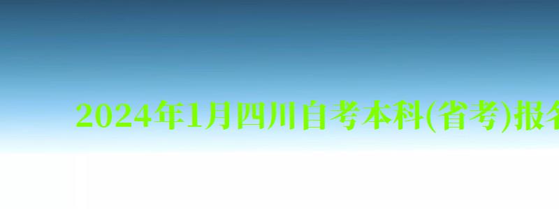 2024年1月四川自考本科(省考)報名時間 2024年1月四川自考本科(省考)報名時間 (圖1)