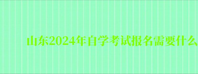 山東2024年自學(xué)考試報(bào)名需要什么條件與要求 山東2024年自學(xué)考試報(bào)名需要什么條件與要求