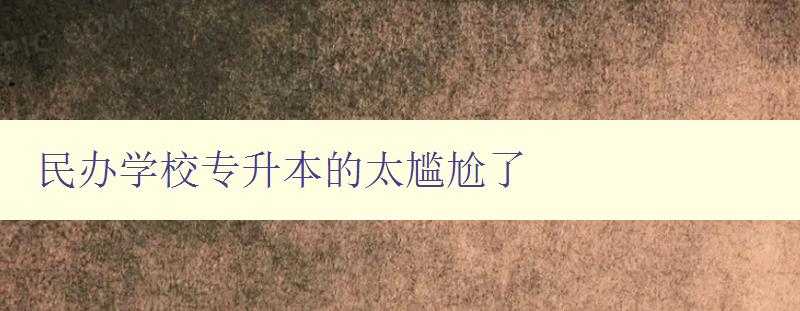 民辦學校專升本的太尷尬了 民辦學校專升本的太尷尬了