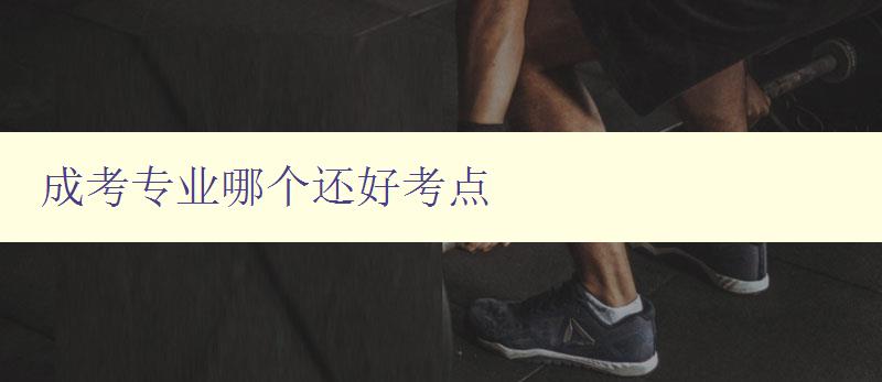 成考專業(yè)哪個(gè)還好考點(diǎn) 探究成人高考專業(yè)選擇的技巧 成考專業(yè)哪個(gè)還好考點(diǎn) 探究成人高考專業(yè)選擇的技巧