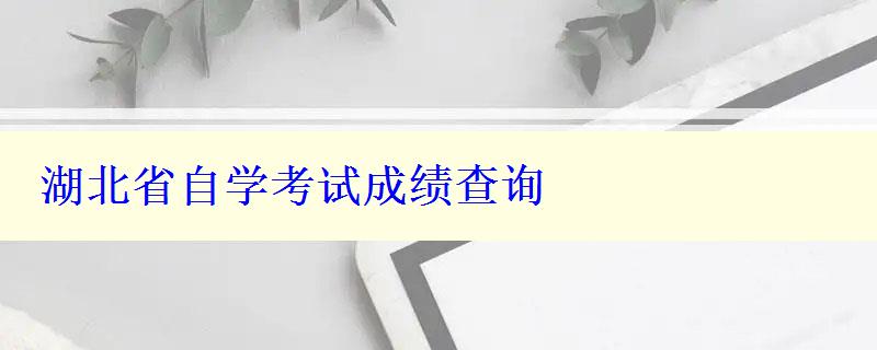 湖北省自學(xué)考試成績(jī)查詢(xún)