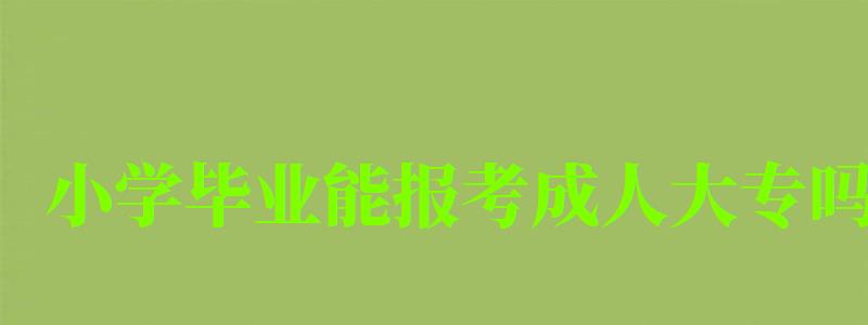 小學(xué)畢業(yè)能報(bào)考成人大專嗎 小學(xué)畢業(yè)能報(bào)考成人大專嗎 怎么報(bào)名(圖1)