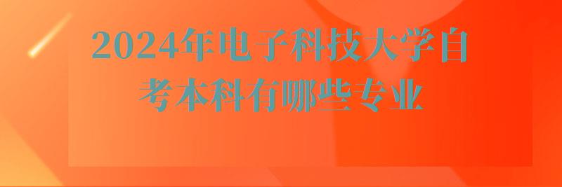 2024年電子科技大學自考本科有哪些專業 2024年電子科技大學自考本科有哪些專業