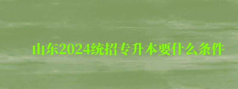 山東2024統(tǒng)招專升本要什么條件 山東2024統(tǒng)招專升本要什么條件