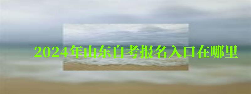 2024年山東自考報名入口在哪里 2024年山東自考報名入口在哪里 具體怎么報名(圖1)