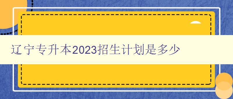 遼寧專升本2023招生計劃是多少 詳細解讀遼寧省專升本招生計劃 遼寧專升本2023招生計劃是多少 詳細解讀遼寧省專升本招生計劃
