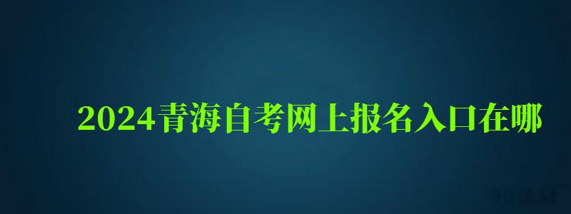 2024青海自考網上報名入口在哪