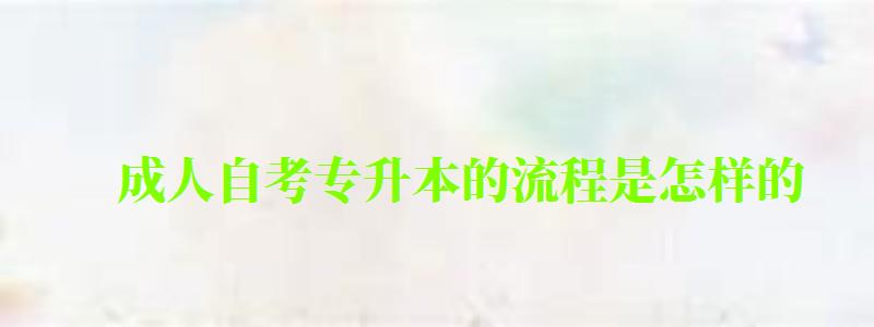 成人自考專升本的流程是怎樣的 成人自考專升本的流程是怎樣的