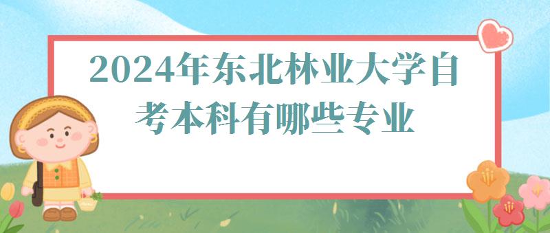 2024年?yáng)|北林業(yè)大學(xué)自考本科有哪些專業(yè) 2024年?yáng)|北林業(yè)大學(xué)自考本科有哪些專業(yè)