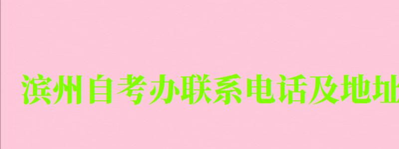 濱州自考辦聯系電話及地址 濱州自考辦聯系電話及地址 (圖1)