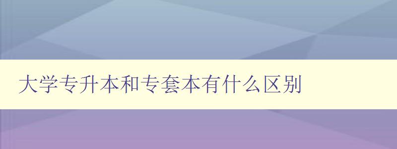 大學專升本和專套本有什么區別 詳解兩種不同的升學路徑 大學專升本和專套本有什么區別 詳解兩種不同的升學路徑