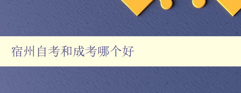宿州自考和成考哪個好 比較宿州自考和成考優(yōu)缺點