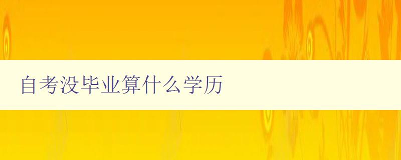 自考沒畢業(yè)算什么學(xué)歷 解析自考的含義和用途 自考沒畢業(yè)算什么學(xué)歷 解析自考的含義和用途