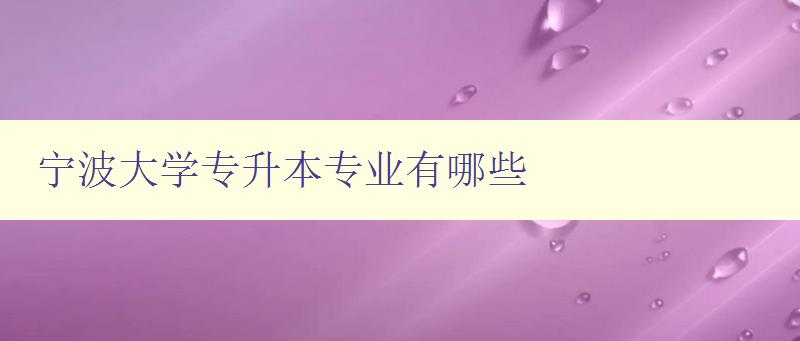 寧波大學專升本專業有哪些