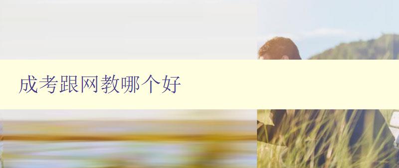 成考跟網教哪個好 比較成考和網教的優缺點 成考跟網教哪個好 比較成考和網教的優缺點
