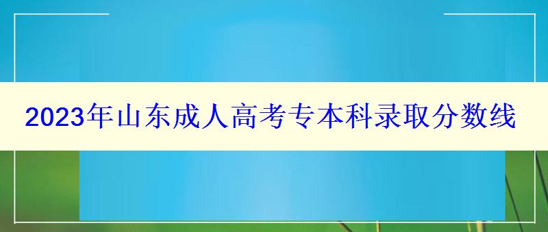 2023年山東成人高考專本科錄取分數線 2023年山東成人高考專本科錄取分數線