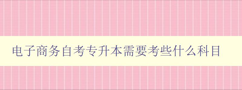 電子商務(wù)自考專升本需要考些什么科目 電子商務(wù)自考專升本需要考些什么科目