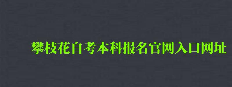 攀枝花自考本科報(bào)名官網(wǎng)入口網(wǎng)址 攀枝花自考本科報(bào)名官網(wǎng)入口網(wǎng)址 (圖1)