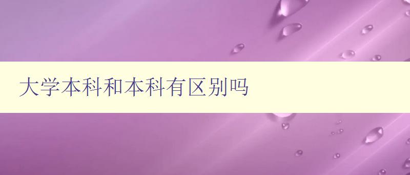 大學本科和本科有區別嗎 解析大學本科和本科的不同之處 大學本科和本科有區別嗎 解析大學本科和本科的不同之處
