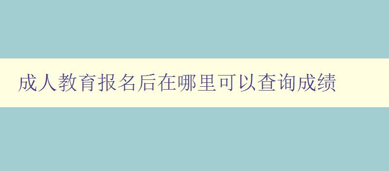 成人教育報(bào)名后在哪里可以查詢成績