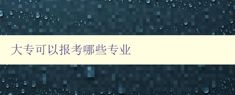 大?？梢詧?bào)考哪些專業(yè)