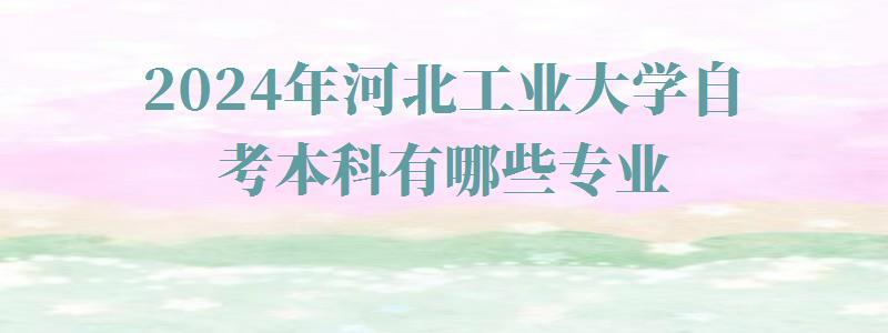 2024年河北工業大學自考本科有哪些專業 2024年河北工業大學自考本科有哪些專業