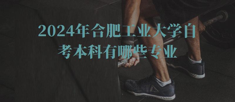 2024年合肥工業(yè)大學自考本科有哪些專業(yè) 2024年合肥工業(yè)大學自考本科有哪些專業(yè)