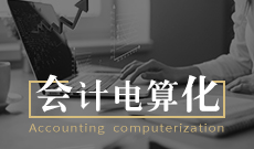 會計學(xué)（原會計電算化）本科