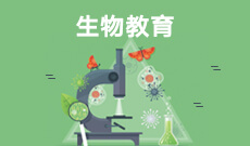數學教育 (本科)