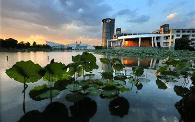 浙江大學