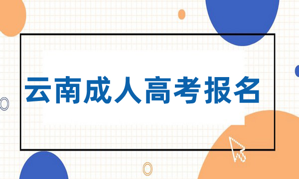 云南成人高考報(bào)名官網(wǎng)入口