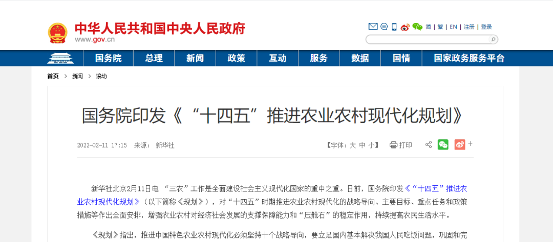 學歷要求越來越嚴格！2025年鄉村教師本科以上學歷要達62%！