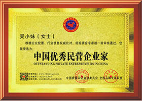 中國(guó)優(yōu)秀民營(yíng)企業(yè)家